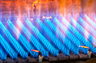 Penrose gas fired boilers